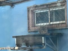 -青藏高原野生动物园