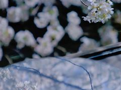 -阳澄湖费尔蒙酒店