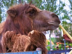 -长白岛森林公园