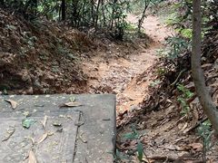-广州市白云山风景名胜区