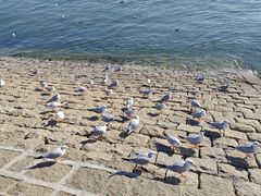 -五四广场