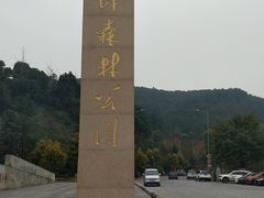 -铁山坪森林公园