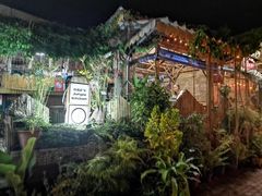 -Jungle Kitchen