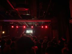 -坚果NUTS