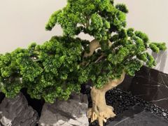 -高佳庄·海鲜酒楼(定海店)