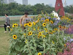 -广西壮族自治区药用植物园