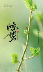 -雅曼妮spa美容养生