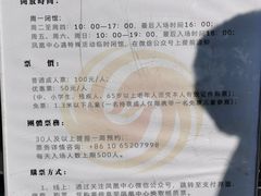 -凤凰中心