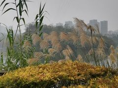-重庆彩云湖湿地公园