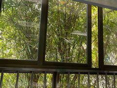 -深圳少年儿童图书馆