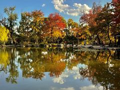 -西山人家·传统苏帮菜·家宴(木渎店)