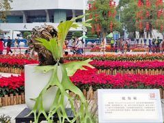 -天河体育中心