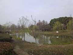 -上海杨姆庄园