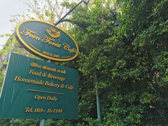 -Fern Forest Cafe