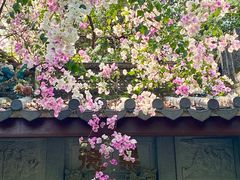 -深圳国际园林花卉博览园