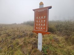 -朱雀国家森林公园