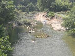 -鹿亭中村