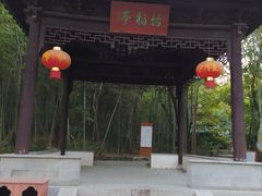 -穹窿山景区