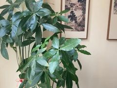 -八马茶业(星海胜利路旗舰店)