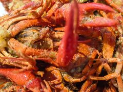 -拙大师·龙虾四季排档·夜宵至凌晨4点(九环路店)
