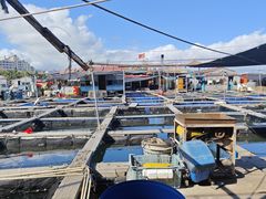 -蓝湾碧波·老字号·疍家非遗海上餐厅