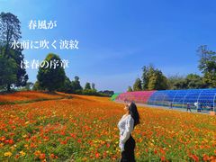 -秀丽东方