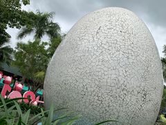 -100蛋泥浆浴