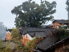 -杨家堂村