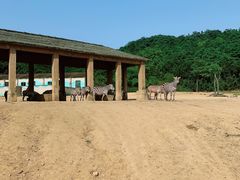 -杭州野生动物世界
