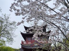 -堤角公园