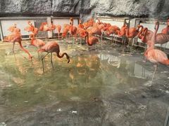 -荆州中山公园动物园