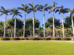 -三亚海棠湾万丽度假酒店