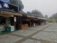 -保利石象湖景区