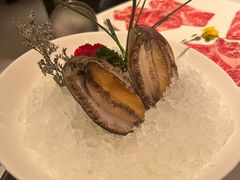 六头鲍鱼-红雀围·海鲜火锅(陆家嘴中心店)