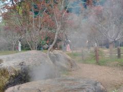 -广州市帽峰山景区