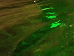 -星河湾温泉洗浴酒店