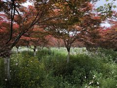 -云漫湖生态度假公园