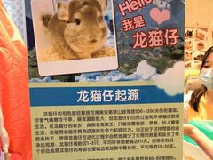 -龙猫仔乐园(惠福东路店)