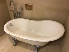 -圣爵菲斯大酒店(长沙世界之窗店)