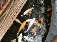 -上海大自然野生昆虫馆(东方明珠·爬宠昆虫探索中心)