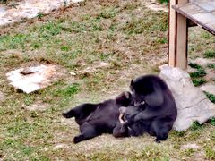 -石家庄市动物园