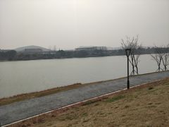 -羊山湖公园