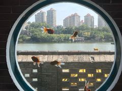 -珠海圆明新园