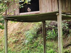 -黄金沟旅游风景区