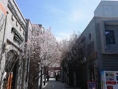 -龙湖星悦荟(颐和店)
