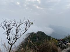 -梧桐山风景名胜区