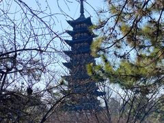 -上海方塔园