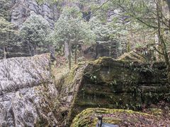 -梭布垭石林景区