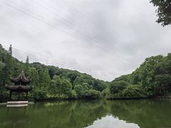 -忠山公园