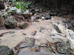 -火炉山森林公园